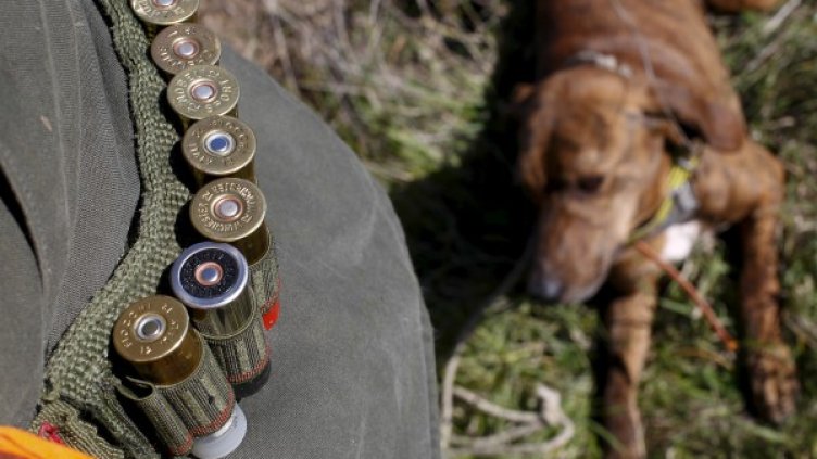 Снимка: архив, Ройтерс