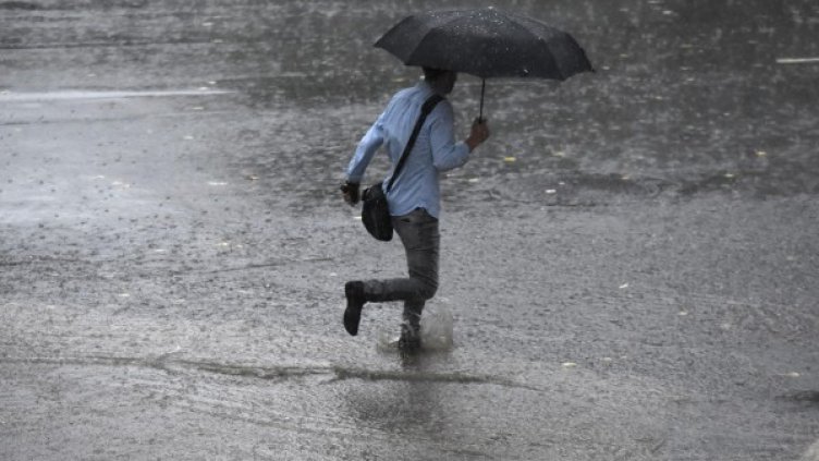 Снимка: архив "Булфото"