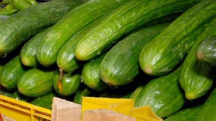 Снимка: архив, БулФото