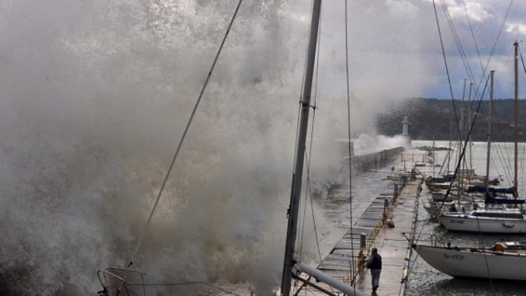 Снимка: Пламен Гутинов