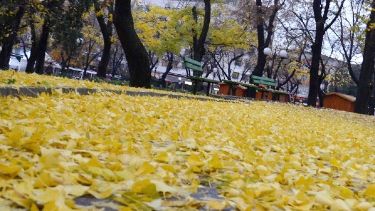 Снимка: БТА, архив