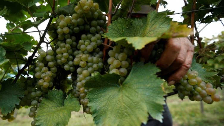 Снимка: Reuters, архив