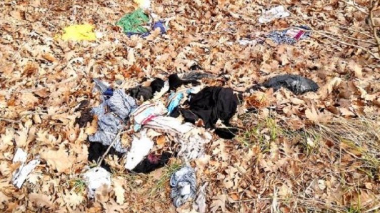 Снимка: архив, Булфото