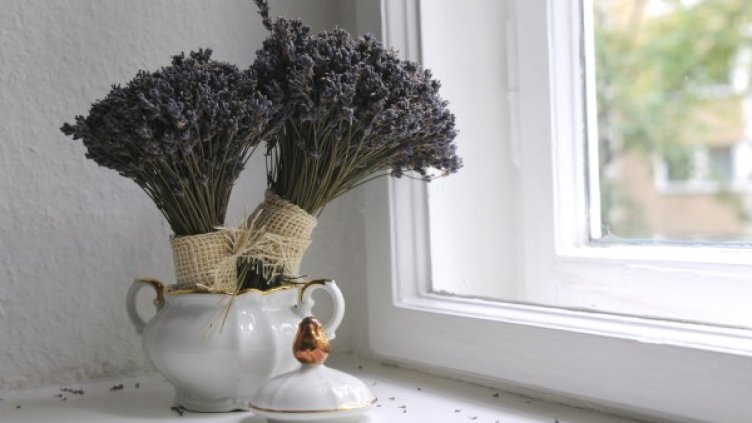 Снимка: freeimages