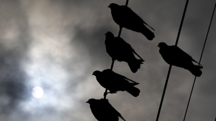 Снимка: Reuters, архив