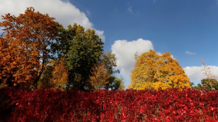 Снимка: Reuters, архив