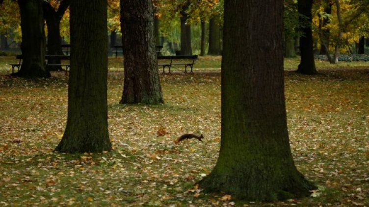 Снимка: Reuters, архив