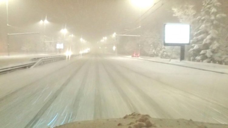 Снимка: архив Булфото