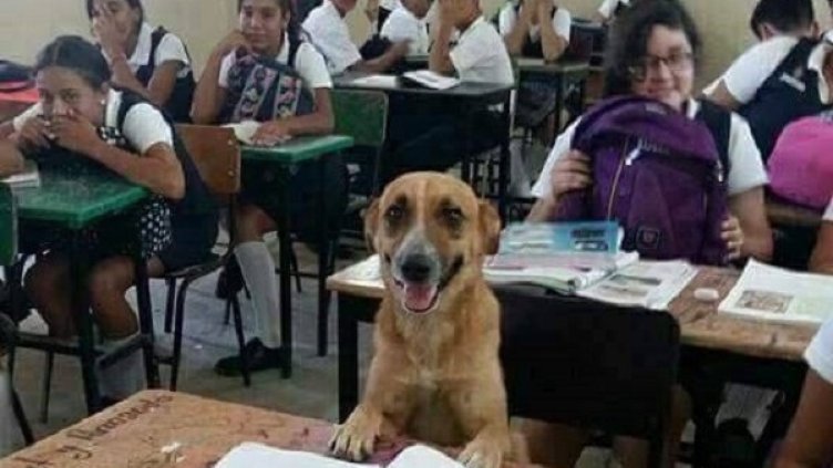 Снимка: Facebook