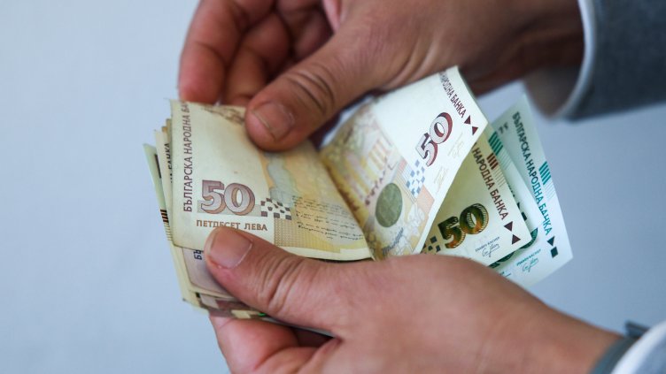 Снимка: архив, БГНЕС