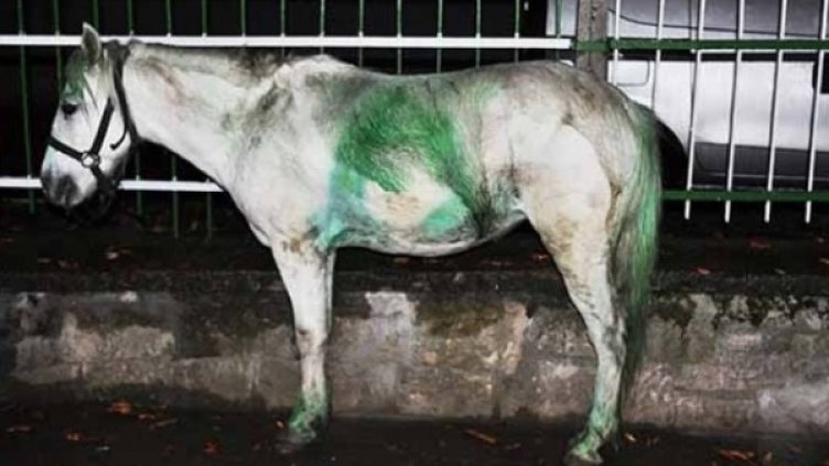 Снимка: Facebook