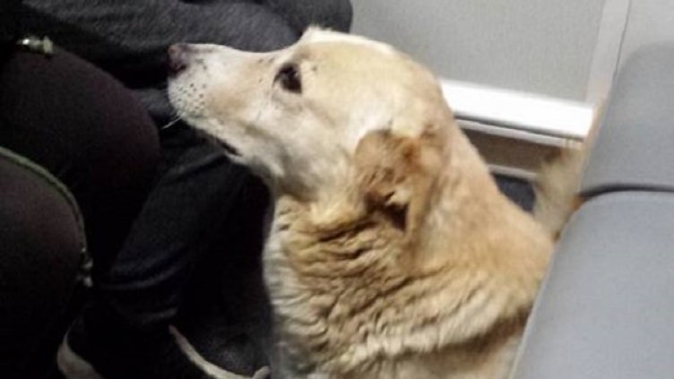 Снимка: Facebook