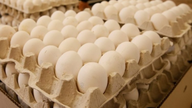 Снимка: Reuters, архив