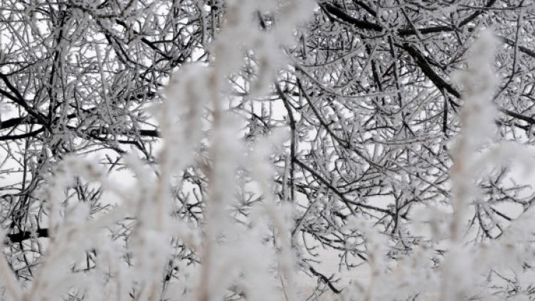 Снимка: архив, БулФото