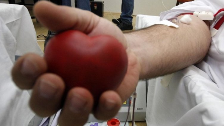 Снимка: архив "Булфото"