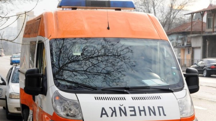 Снимка: архив "Булфото"