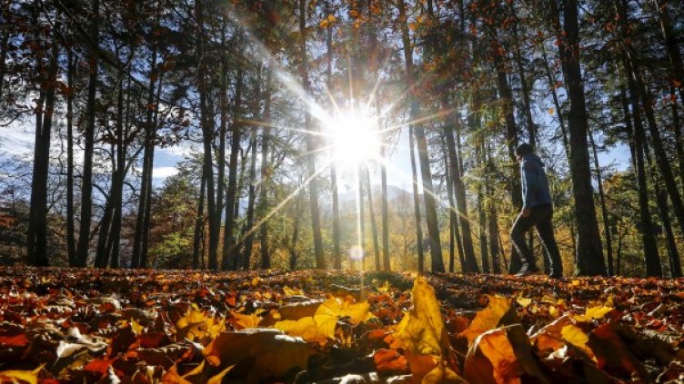 Снимка: архив Reuters