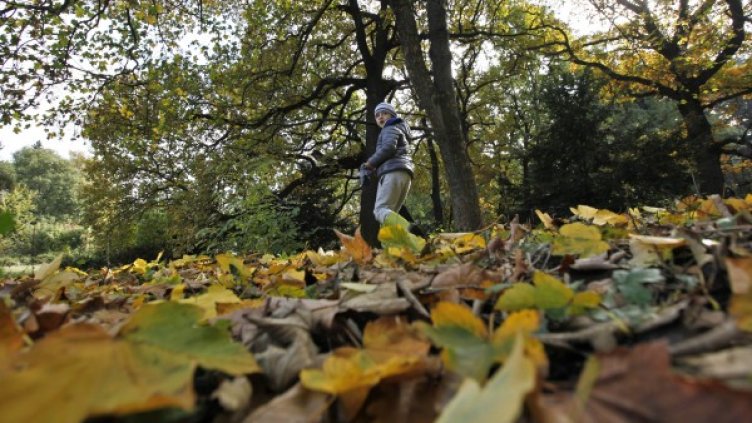 Снимка: Олег Попов / Dnes.bg