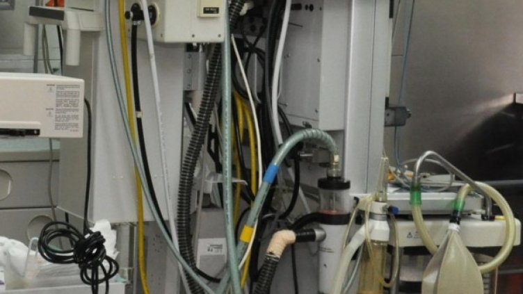 Снимка: архив, БулФото