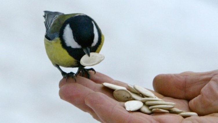 Снимка: Reuters