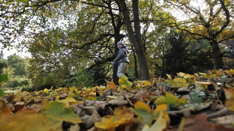 Снимка: Олег Попов/Dnes.bg