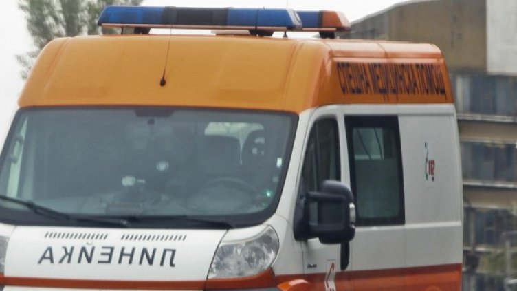 Снимка: Архив, Булфото