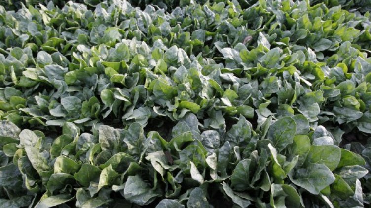 Снимка: архив, Reuters