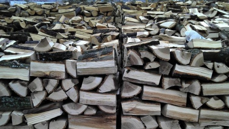 Снимка: архив, Bulphoto