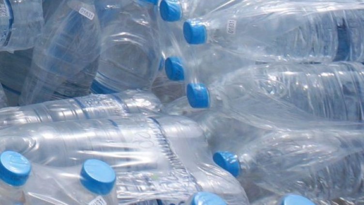 Снимка: архив Булфото