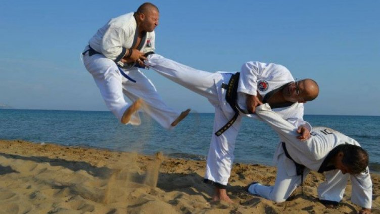 Снимка: Hapkido Kassandros