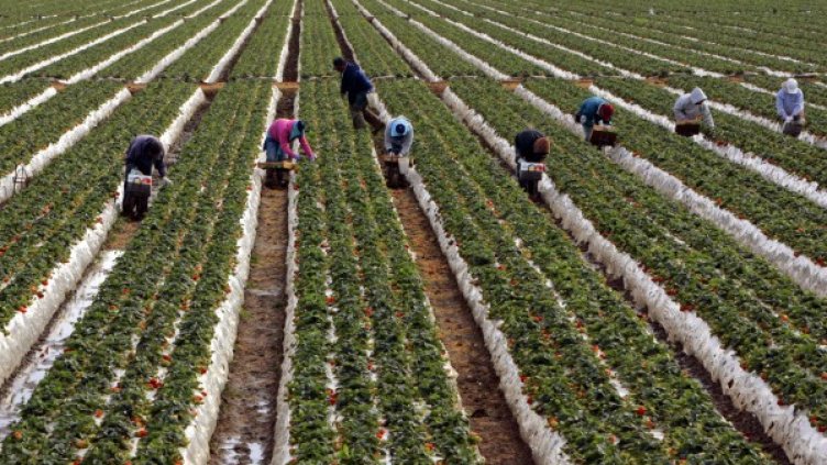 Снимка: архив Reuters