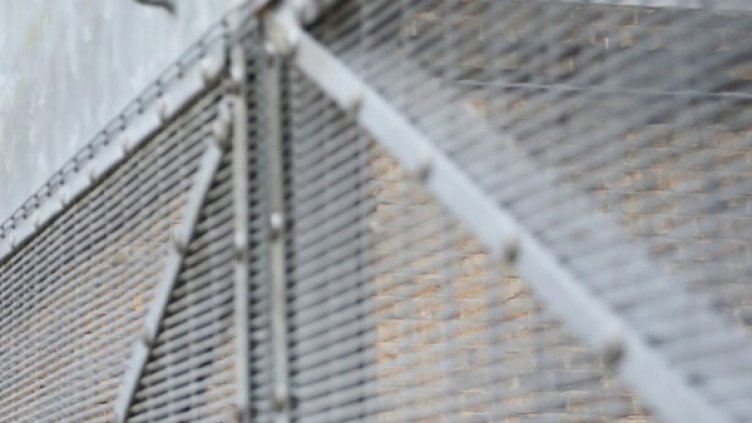 Снимка:  Reuters