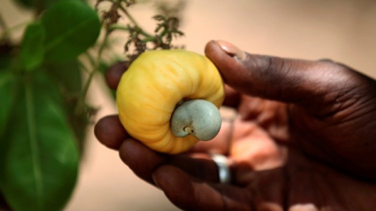 Снимка: Reuters, архив