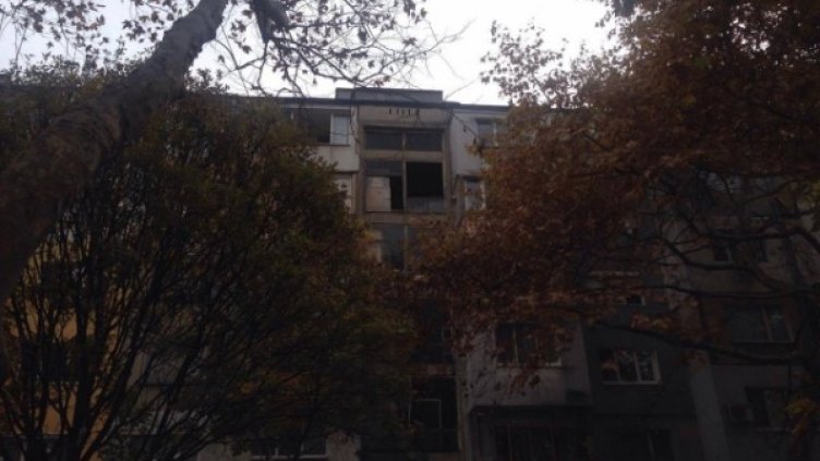 Снимка: Мариана Стайкова