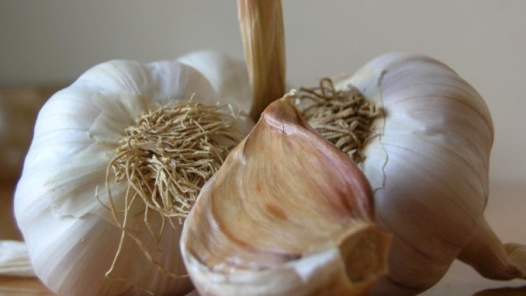 Снимка: freeimages