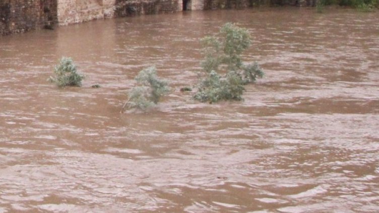 Снимка: Булфото, архив