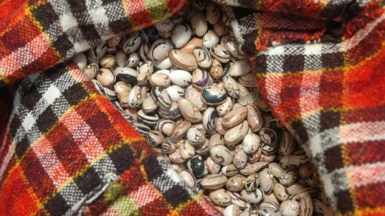 Снимка: архив, Bulphoto