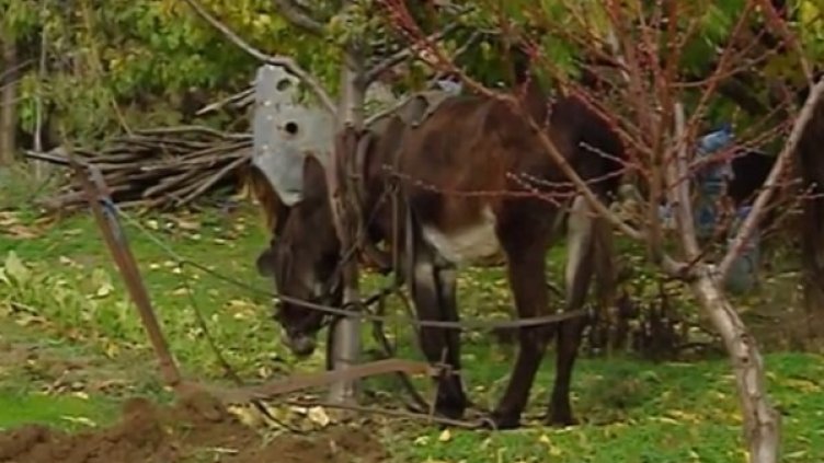 Снимка: Черно море