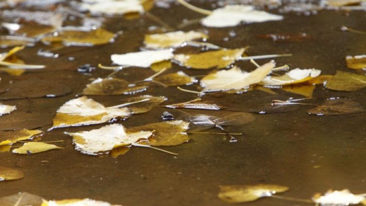 Снимка: Олег Попов/Dnes.bg