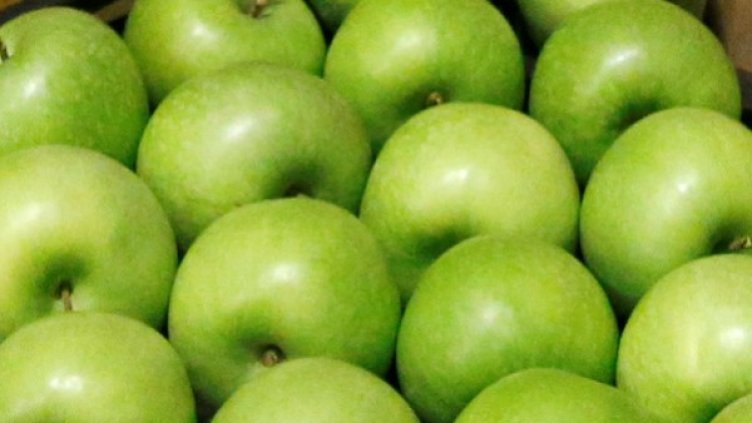 Снимка: архив, Reuters