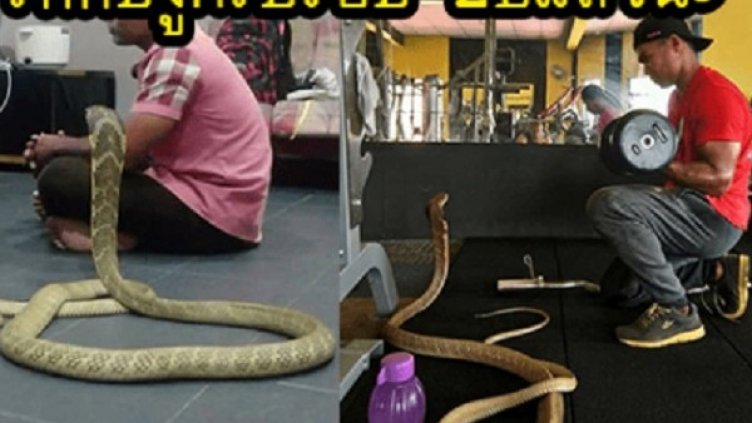 Снимка: dooeek.com