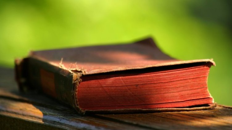 Снимка: freeimages