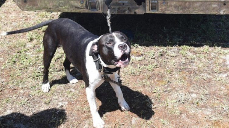 Снимка: архив, Булфото