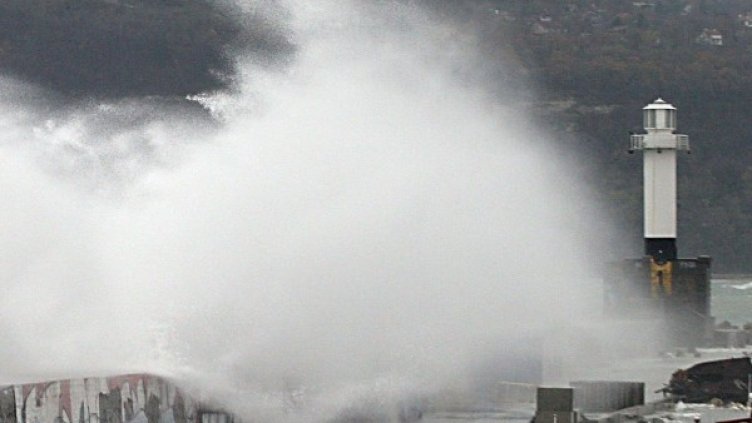 Архив: Булфото