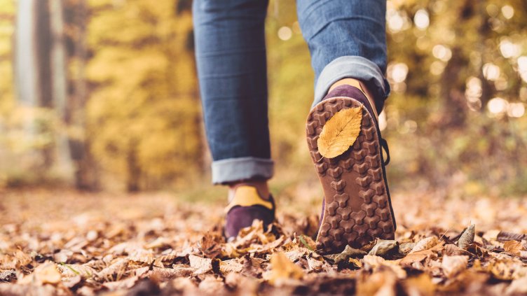 Снимка: Istock