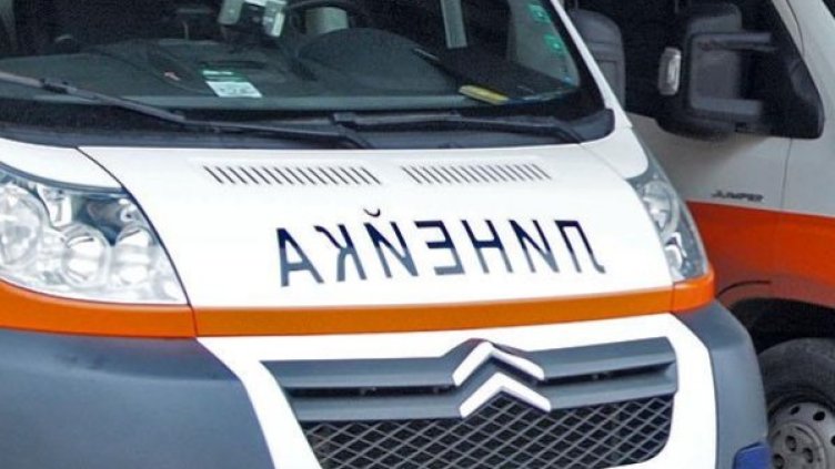 Снимка: Булфото, архив