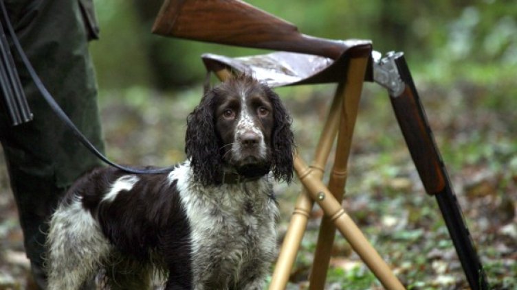 Снимка: Reuters, архив