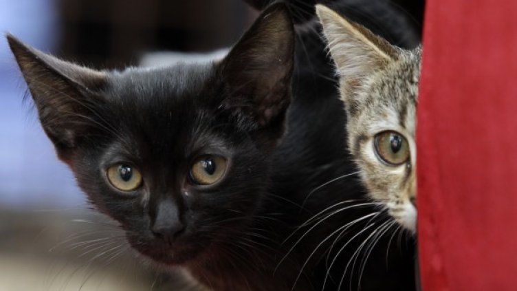 Снимка: Reuters, архив