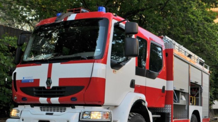 Снимка: Архив, Булфото