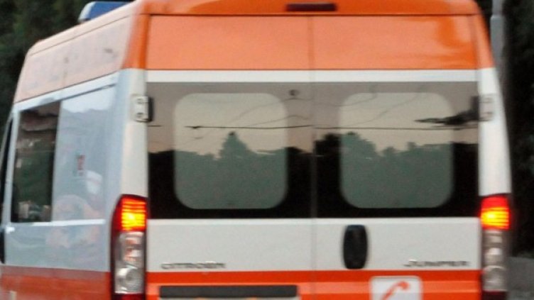 Снимка: архив, БулФото